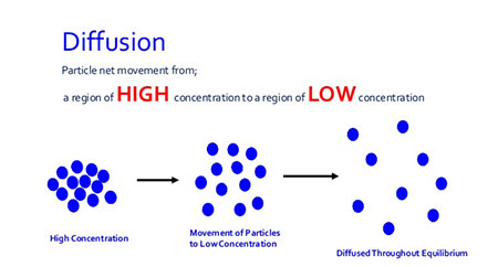 diffusion diagram
