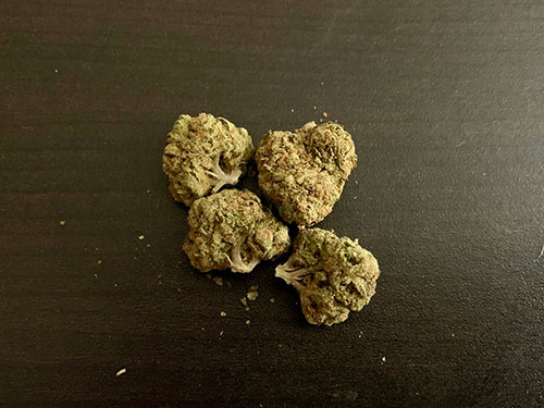herb