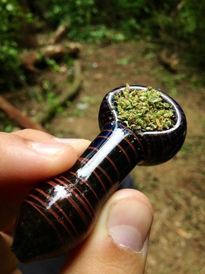 Bongs and Bowls: How to Pack a Bowl of Weed - MSNL Blog