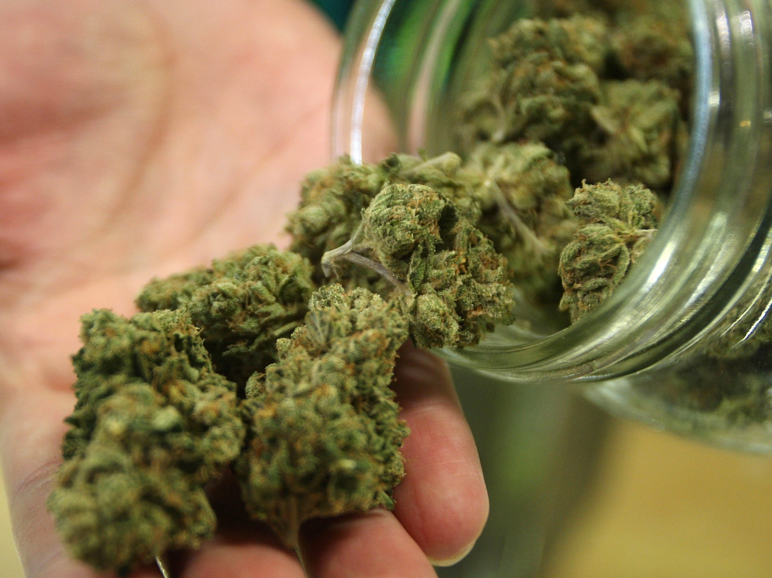 Конопля драп как добиться легализации марихуаны